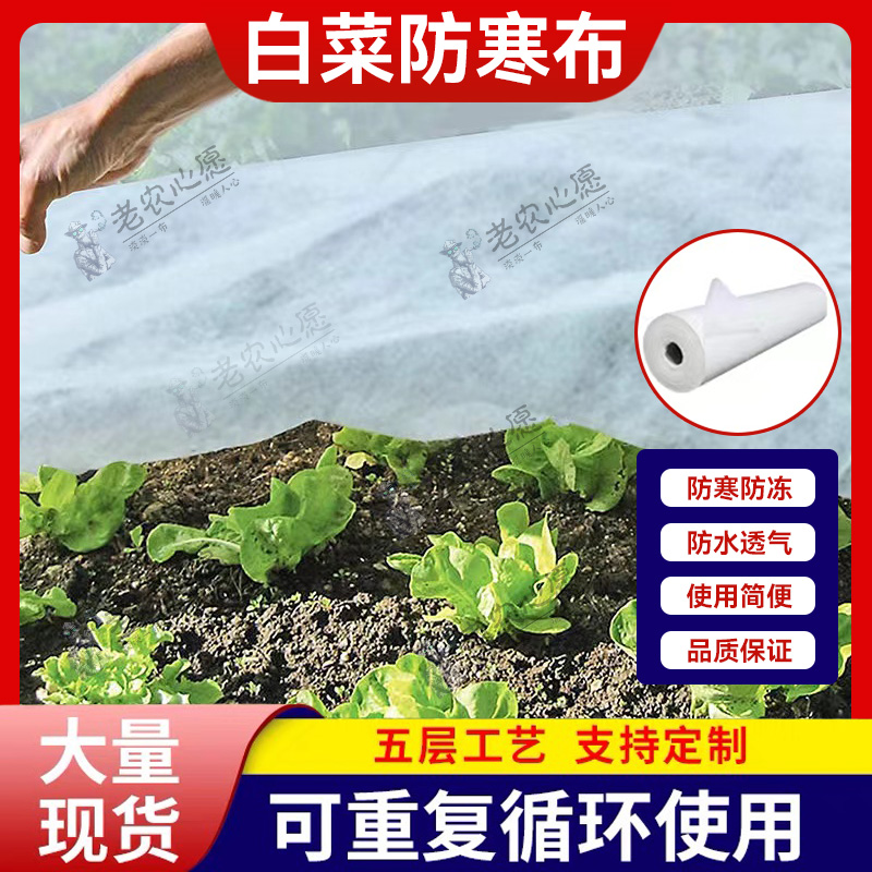 蔬菜防寒布