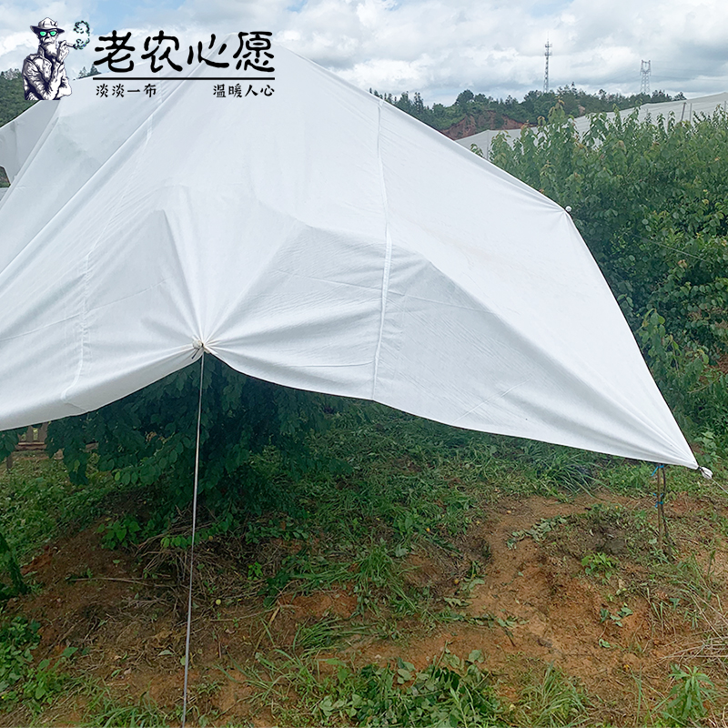 守护果树成长，防雨布不可或缺的智慧