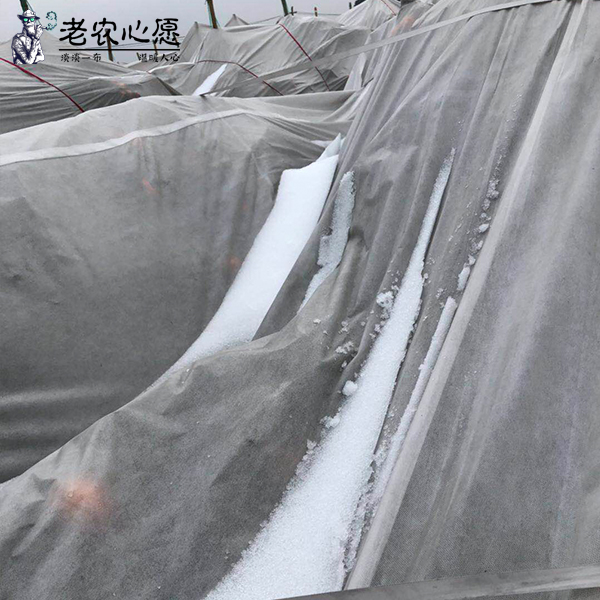 防寒布46.jpg