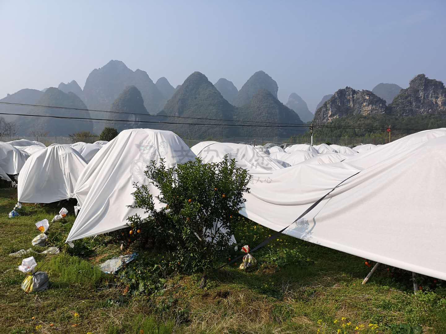 微信图片_20201006164545.jpg