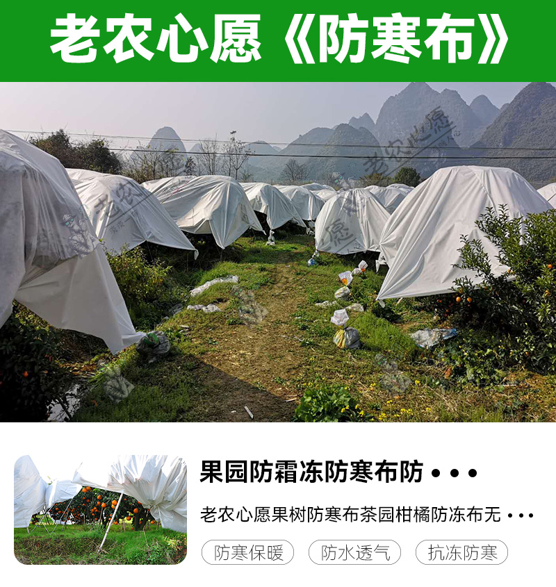 果树寒冬里的“保暖衣”——果树防寒布