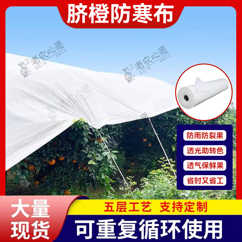 脐橙防寒布：果树防寒的新选择